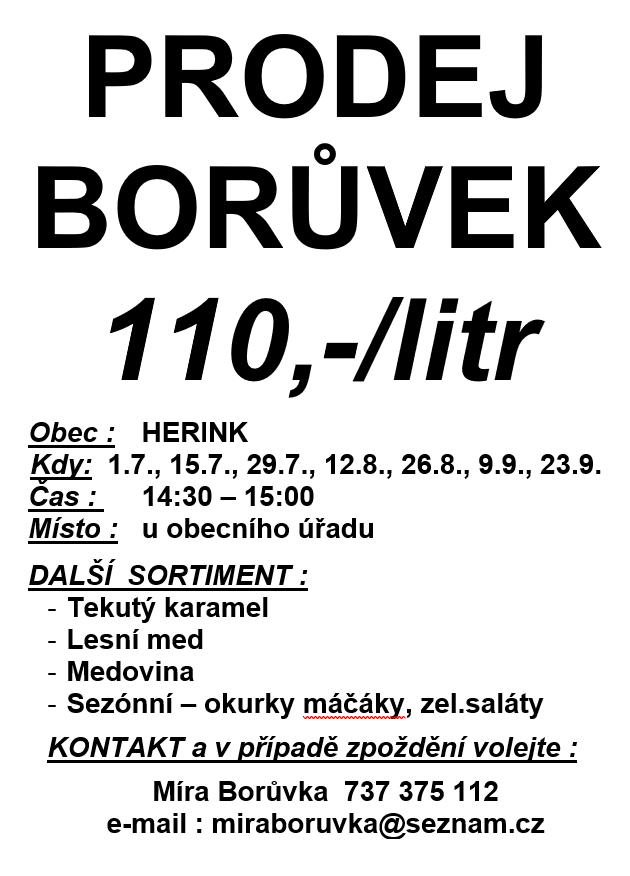 prodej borůvek.png